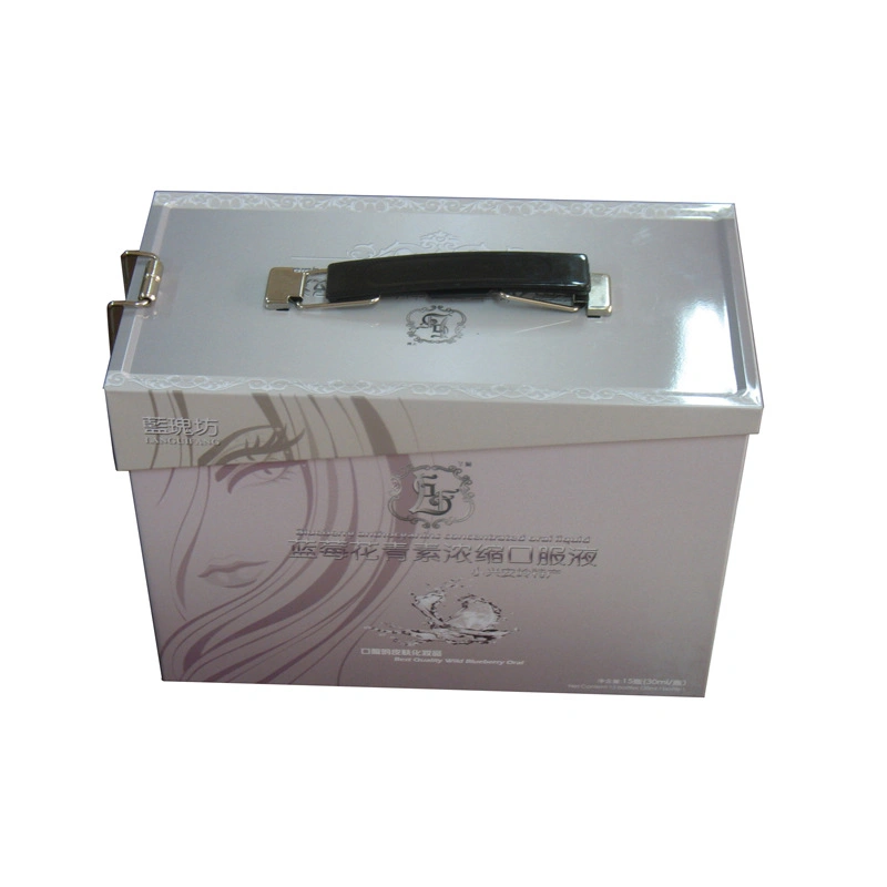 Custom Tall Rectangular Right-Angled Hinged Food Tools Packaging Tin Box with Handle