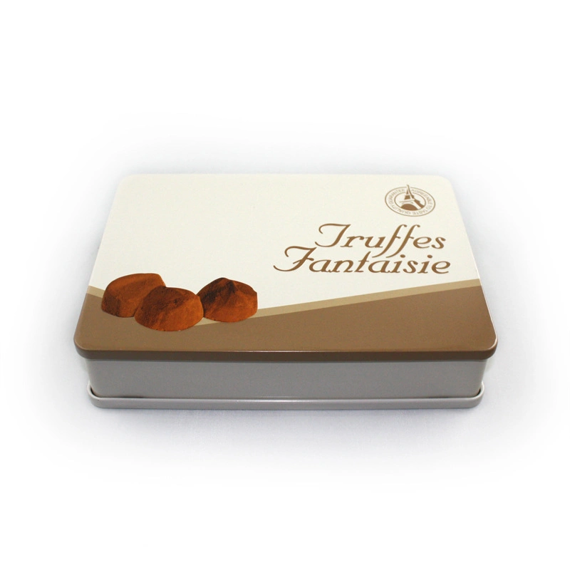Custom Big Rectangular Biscuit Cookie Chocolate Packaging Tin Box with Hinge